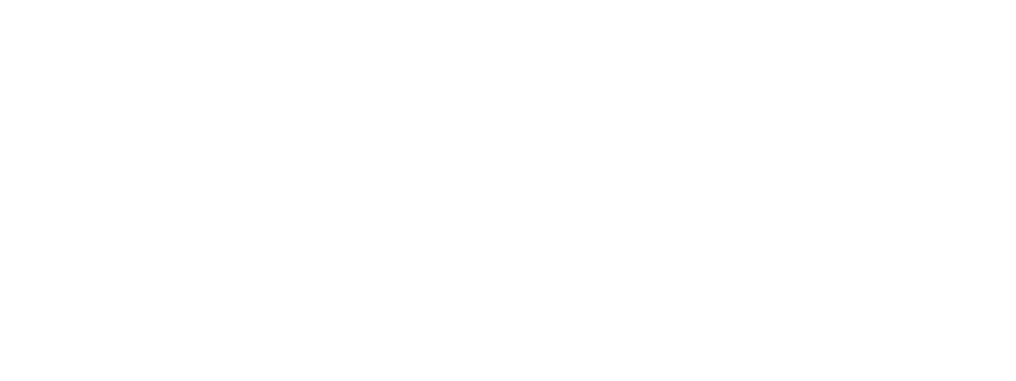 stg.net logo